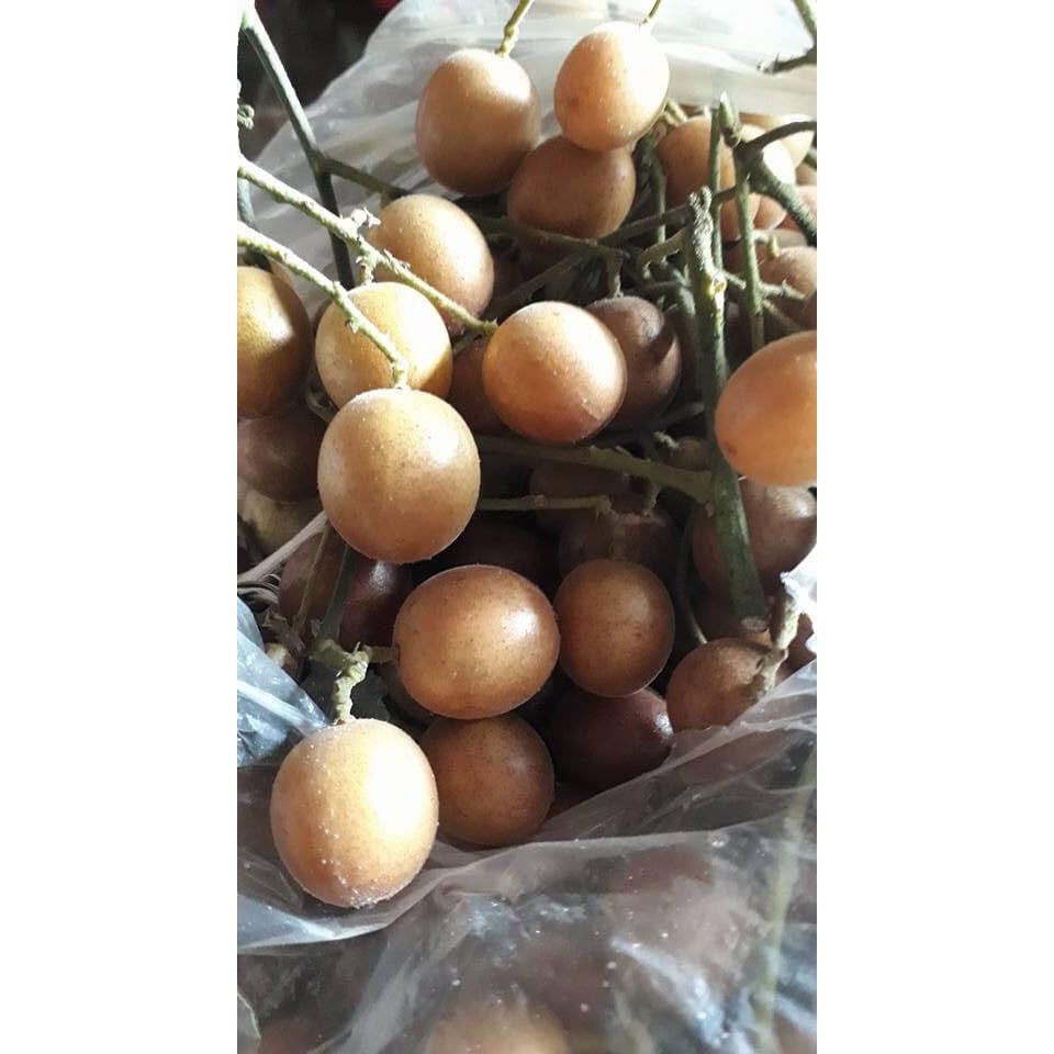 1KG MỨT Ô MAI QUẤT HỒNG BÌ KHÔNG HẠT SẤY DẺO LOẠI NGON