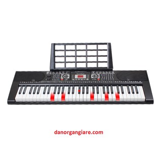 Đàn organ xy381