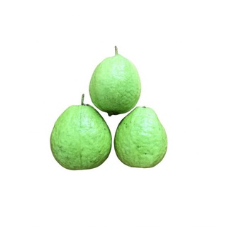 Sản phẩm: Ổi hữu cơ