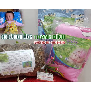 Đinh Lăng Khô 100G