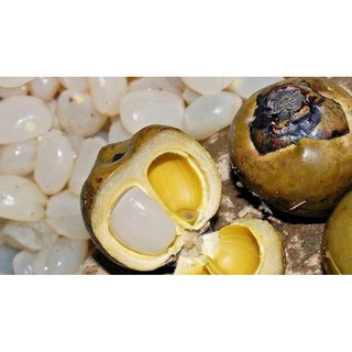 1kg hạt đác tươi