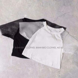 Áo croptop lưới / trơn