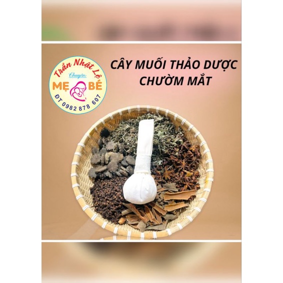 CÂY MUỐI THẢO DƯỢC