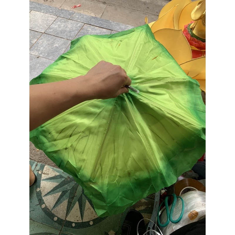 Lá sen múa cầm tay