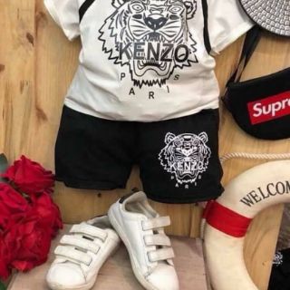 Bộ hổ cotton bé trai