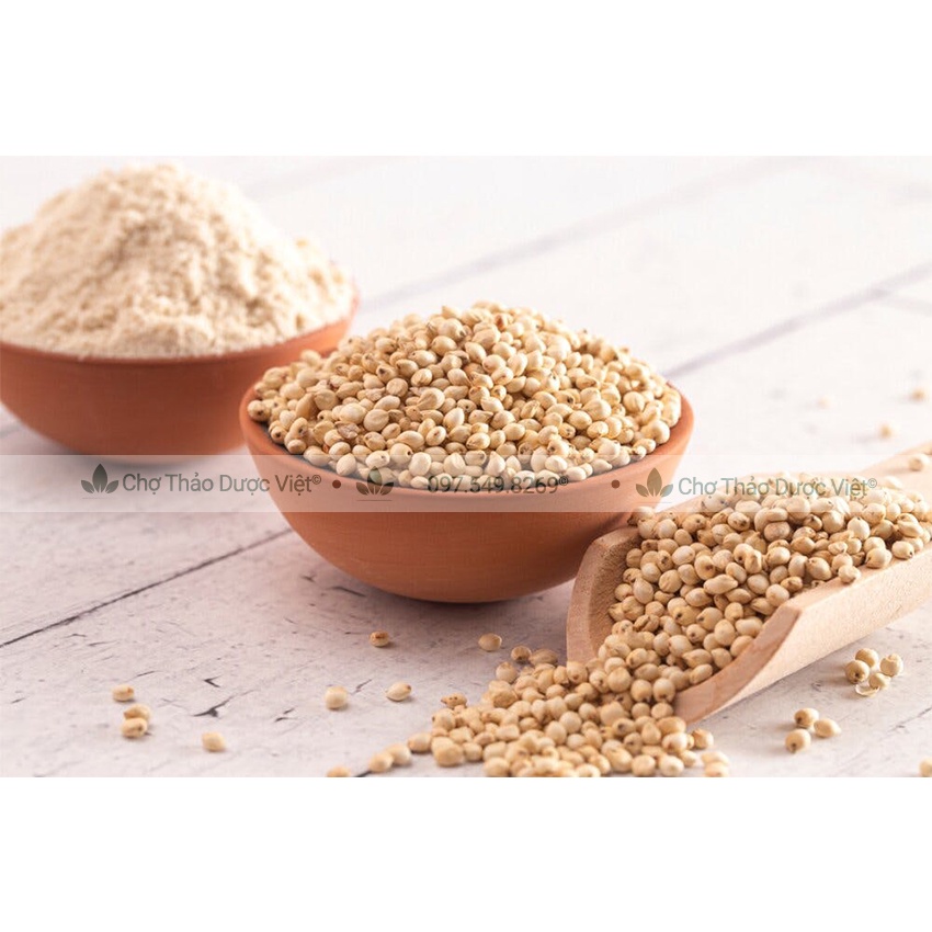 Bột y dĩ nguyên chất 1kg ( Bột hạt bo bo lợi sữa, dưỡng trắng) - Chợ Thảo Dược Việt