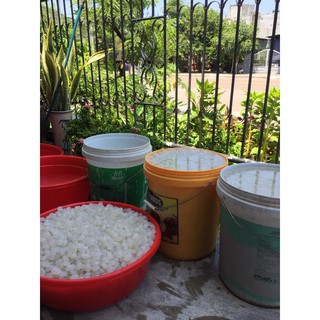 1kg hạt đác tươi sạch Phú yên