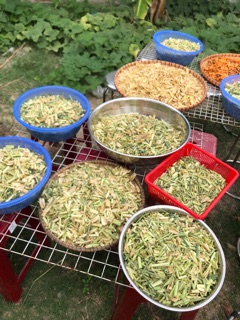 XÔNG HƠ THẢO DƯỢC
