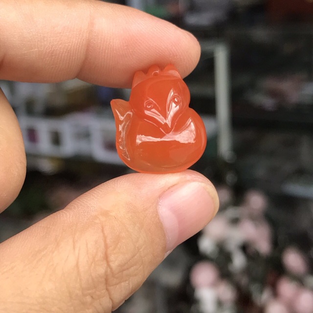 Hồ ly Sunstone 🌞🌞🌞