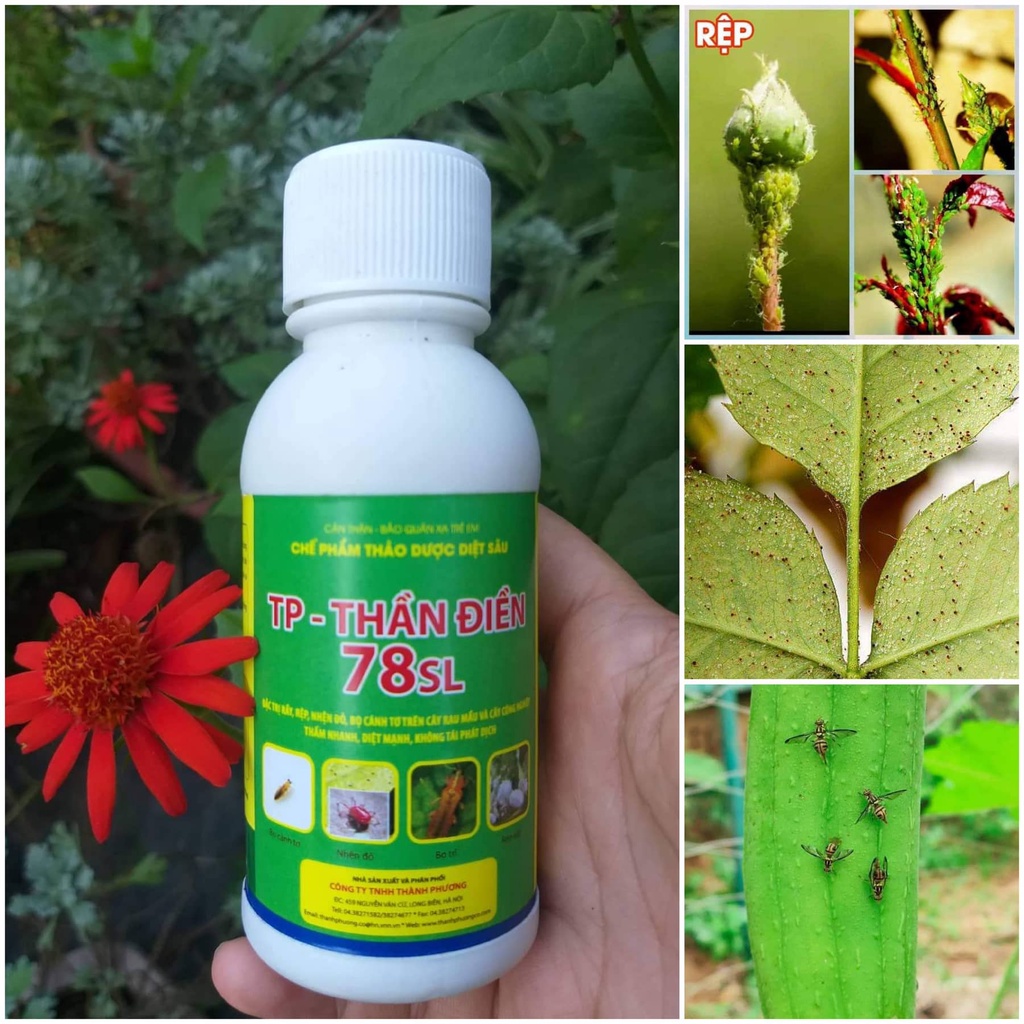 Chế phẩm trừ sâu thảo dược thần điền 78SL( loại trừ trĩ, nhện đỏ, rầy, rệp,... cho cây trồng)