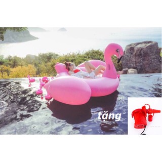 Phao bơi thiên nga cỡ lớn - tặng bơm điện 2 chiều
