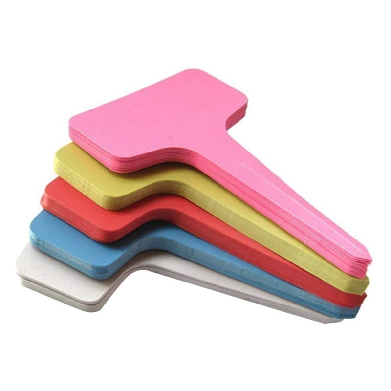 Set 100 Thẻ Nhựa Chữ T 6 X10Cm 5 Màu Chuyên Dụng Gắn Chậu Cây Cảnh