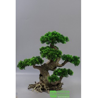 Lũa Bonsai, Lũa thủy sinh dùng trang trí hồ cá cảnh, hồ thủy sinh, văn phòng, nhà cửa (PLASTIC/13)