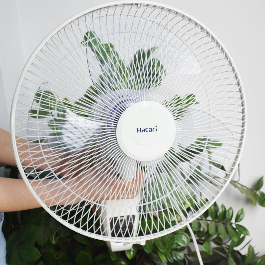 QUẠT TREO TƯỜNG HATARI HT-W16R6