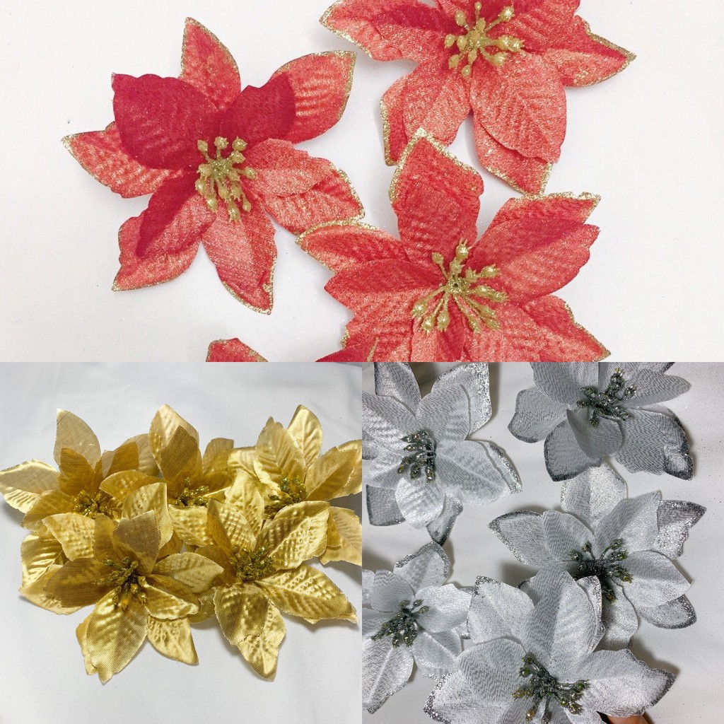 2 Bông Trạng Nguyên Trang Trí Giáng Sinh, Trang Trí Cây Thông Noel | Shopee  Việt Nam
