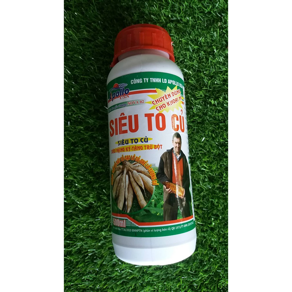 SIÊU TO CỦ APOLLO