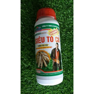 SIÊU TO CỦ APOLLO