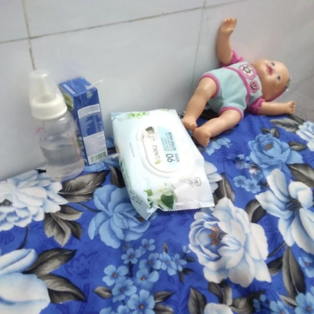 Gấu bông của hằng trần