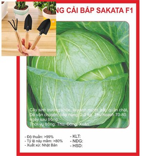 Hạt giống BẮP CẢI NHẬT - 0,2gram TẶNG BỘ LÀM VƯƠN MINI