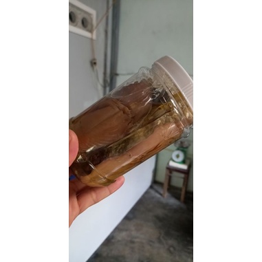 MẮM CÁ THU PHÚ YÊN