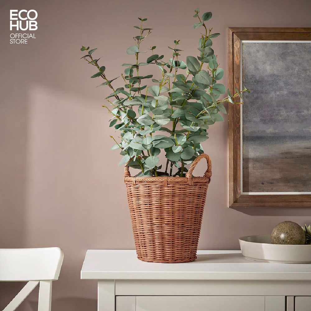 Giỏ mây trồng cây, Hoa Khô, đựng đồ, ECOHUB