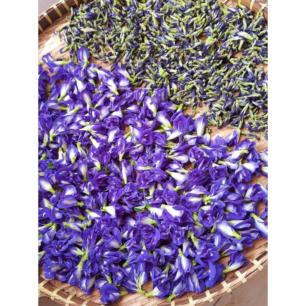 HOA ĐẬU BIẾC SẤY KHÔ 30g Loại 1