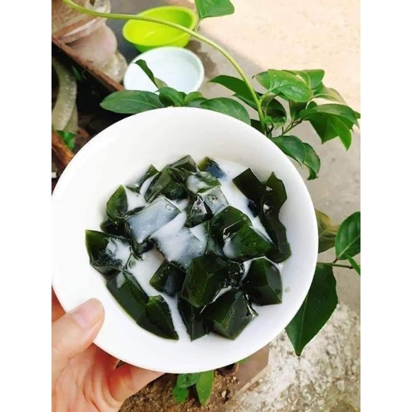 20 hạt giống thạch sâm lông làm thạch ❤️❤️Sale Sock ❤️❤️ chất lượng cao