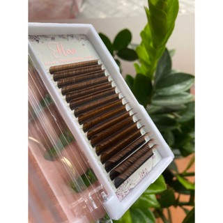Mi nâu nối mi