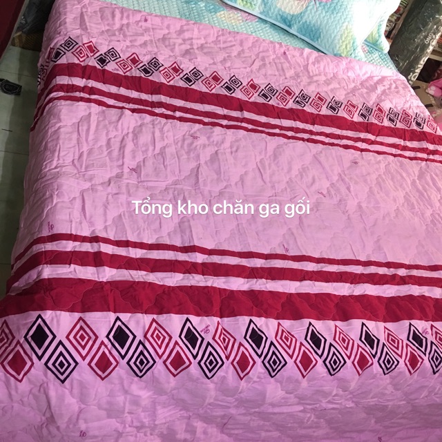 Chăn hè thu sông hồng