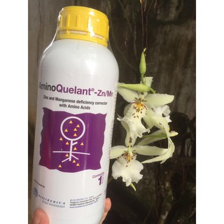 Phân bón amino quelant - zn/mn 1 lít