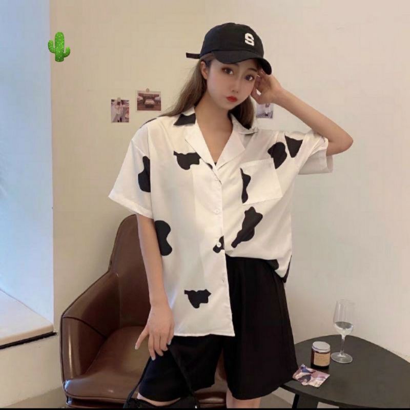 ÁO SƠ MI BÒ SỮA HÀNG LOẠI 1