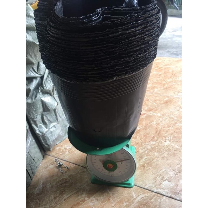 1kg Bầu đen mã 28x25 giá 45 nghìn ( khoảng 37-40 cái)