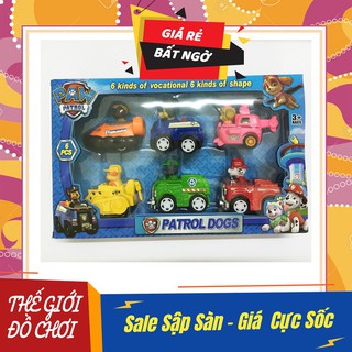 Biệt đội 6 chú chó cứu hộ siêu đẹp