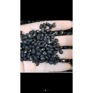 Đậu ( đỗ) đen xanh lòng quê