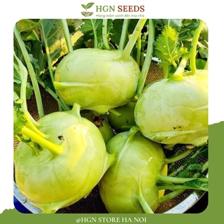[Hạt giống Hàn Quốc] Su Hào Xanh Hàn Quốc (Gói lẻ 50 hạt)