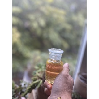 TINH DẦU HẠT MÙI GIÀ SOAPILY