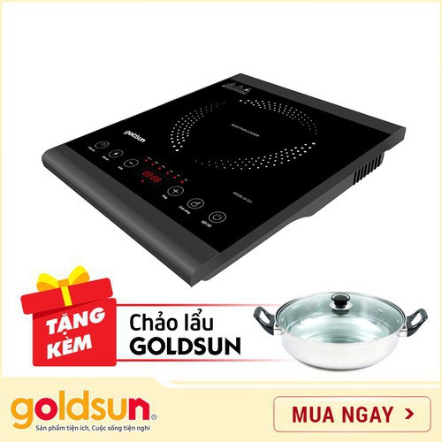 Bếp điện từ cảm ứng GoldSun GI-T21, màn hình Led, 5 chế độ nấu - Bảo hành 1 năm chính hãng