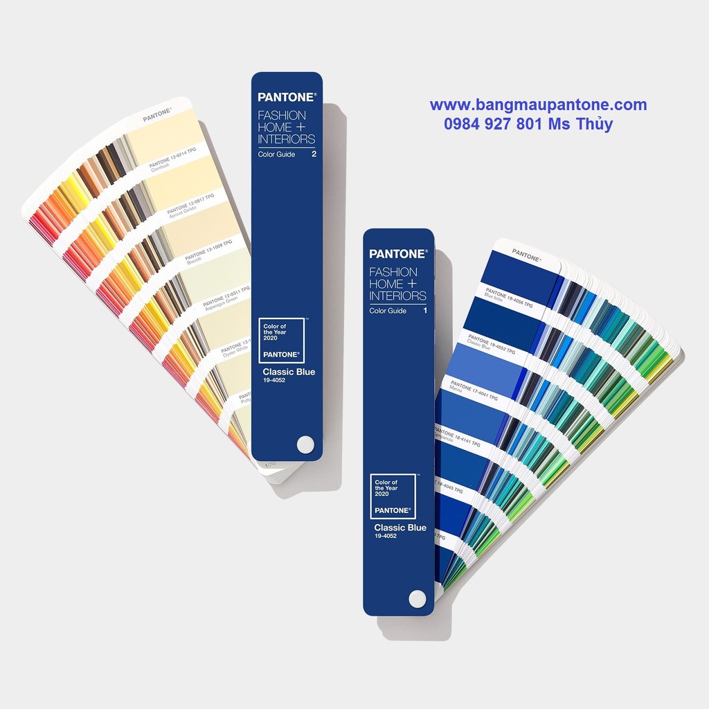 Bảng màu Pantone Fashion, Home + Interiors Color Guide of The Year Limited FHIP110 COY20 ( TPG - New 2020 )