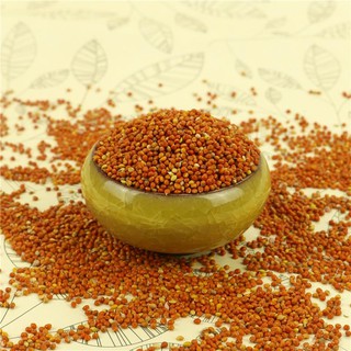 Hạt Kê Đỏ, Bóng, Hạt To