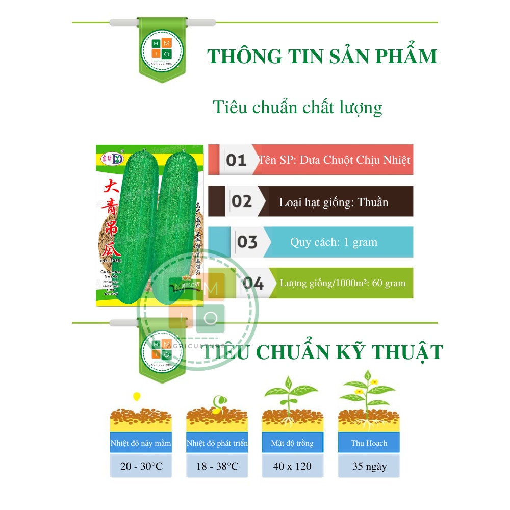 Hạt giống dưa chuột chịu nhiệt Đài Loan siêu quả