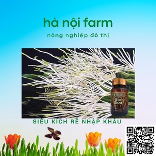 Bio Root MỸ kích rễ cực mạnh - 100ml