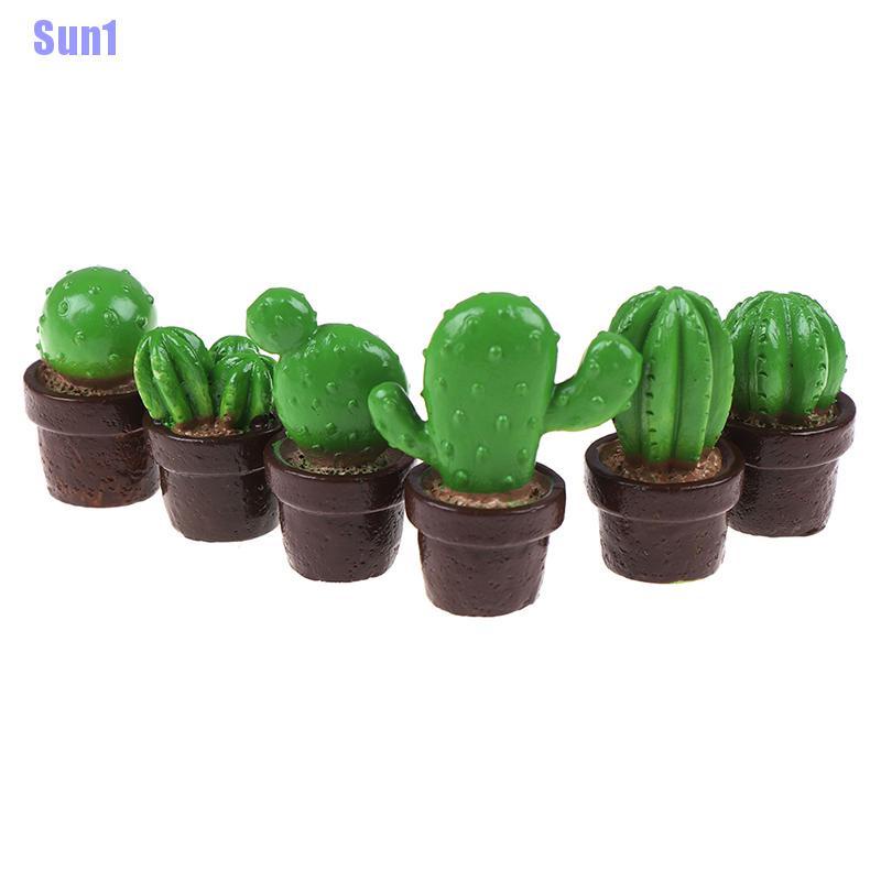 Bộ 5 Cây Xương Rồng mini Trang Trí Nhà Búp Bê