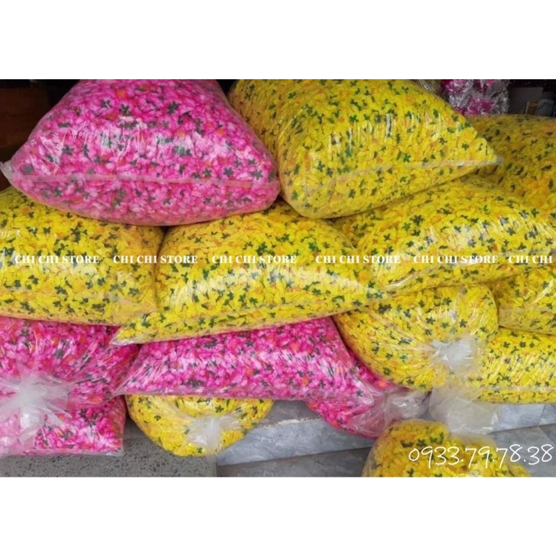 COMBO 1 KG HOA MAI - HOA ĐÀO GIẢ