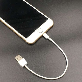 CÁP SẠC IPHONE NGẮN 20CM