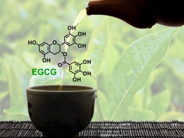 Thùng 24 chai trà xanh Không Độ vị chanh 455ml hsd nhập liên tục | BigBuy360 - bigbuy360.vn
