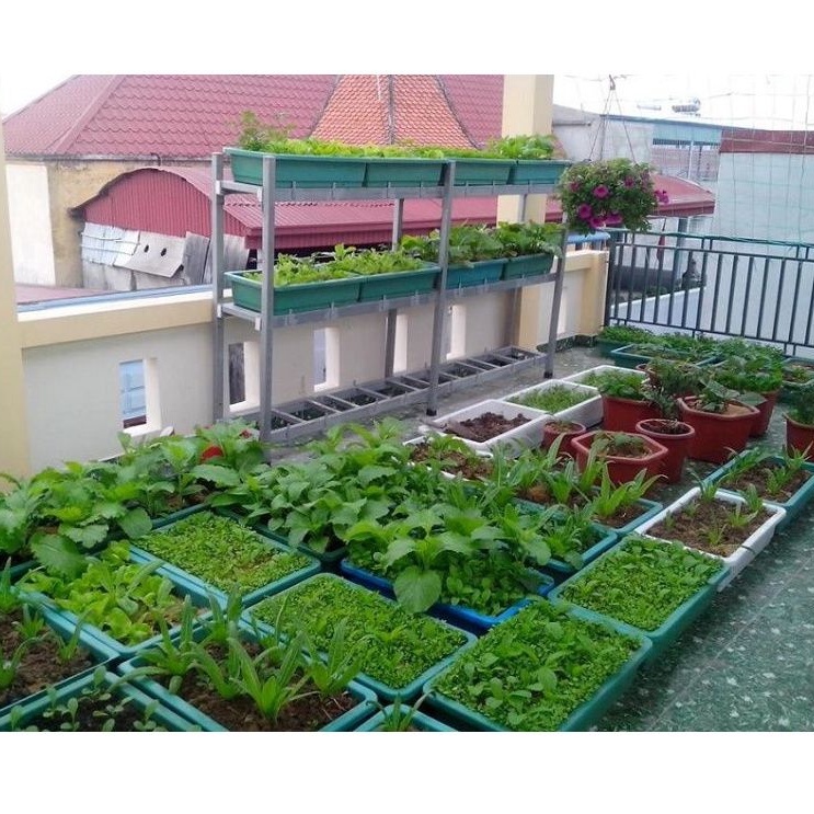 Phân Trùn Quế Hữu Cơ SFARM Cao Cấp