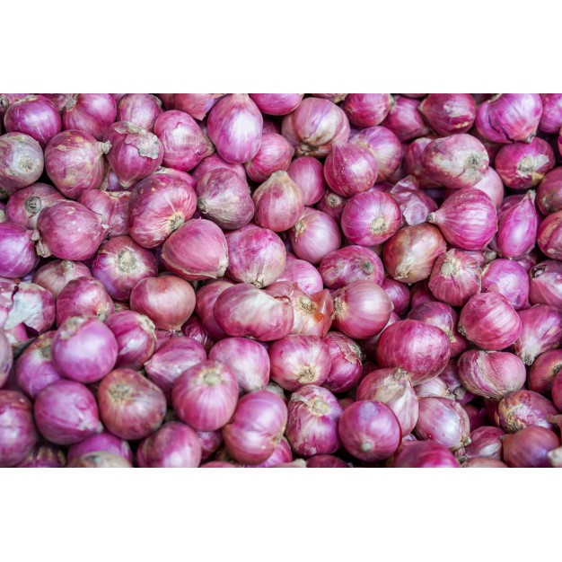 Shallot Powder - Bột hành tím nguyên chất Red Onion Purple Hũ 120ml