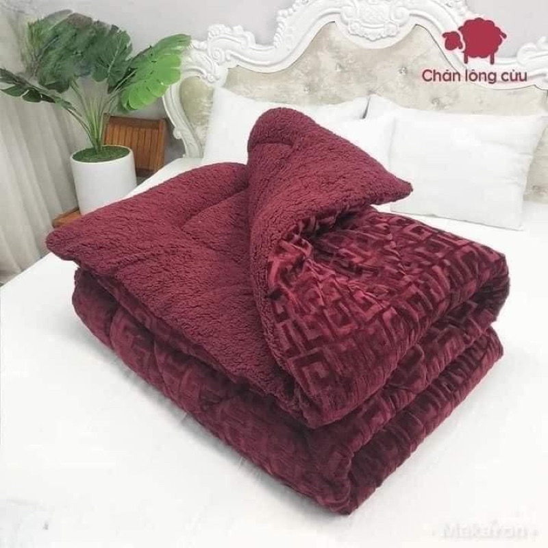 Chăn nhung lông cừu hoạ tiết chữ vạn 3 lớp ấm áp