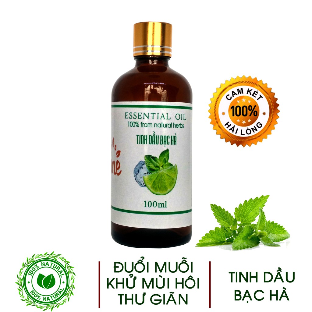 [ COMBO 2 LỌ ] 100ML Tinh Dầu Bạc Hà VIDAME Thơm Phòng, Giải Cảm