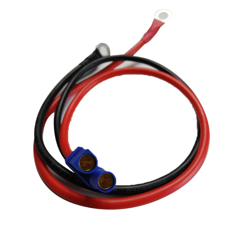 Cáp Sạc Nối Dài Chuyển Đổi EC5 Sang O 10AWG 50cm / 1.6ft Chuyên Dụng Cho Xe Mô Tô